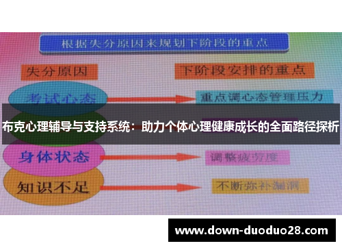 布克心理辅导与支持系统：助力个体心理健康成长的全面路径探析