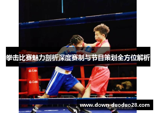 拳击比赛魅力剖析深度赛制与节目策划全方位解析