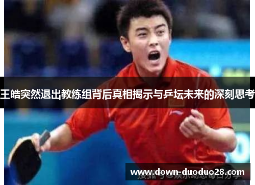 王皓突然退出教练组背后真相揭示与乒坛未来的深刻思考