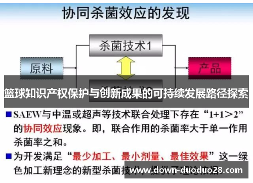 篮球知识产权保护与创新成果的可持续发展路径探索