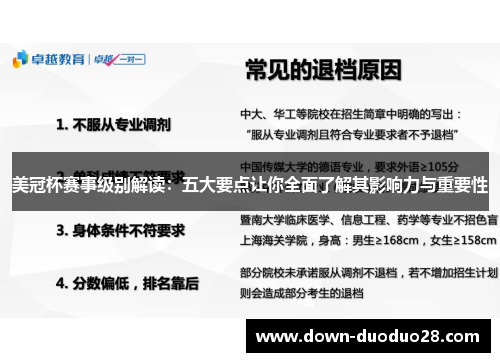 美冠杯赛事级别解读：五大要点让你全面了解其影响力与重要性